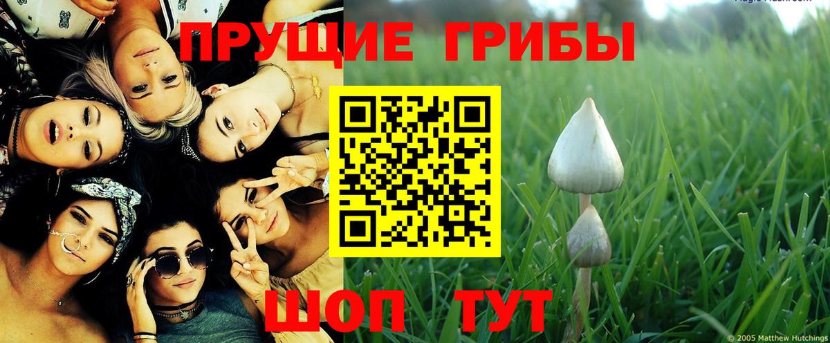 Псилоцибиновые грибы мицелий Рузаевка